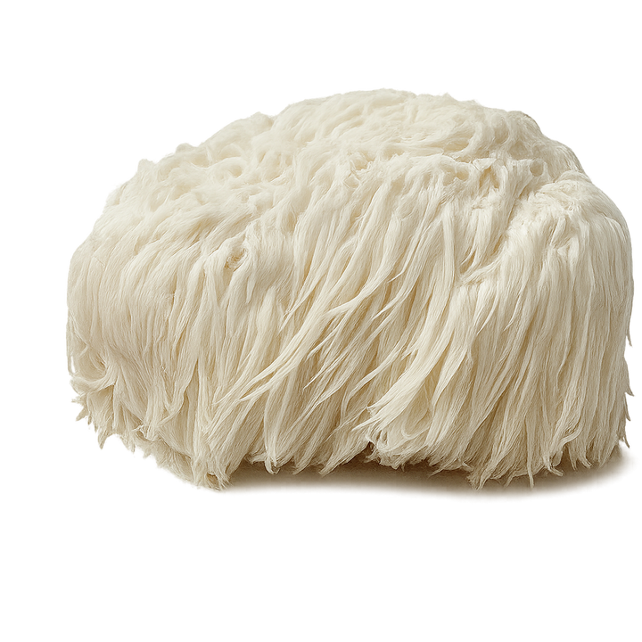 Lion's Mane